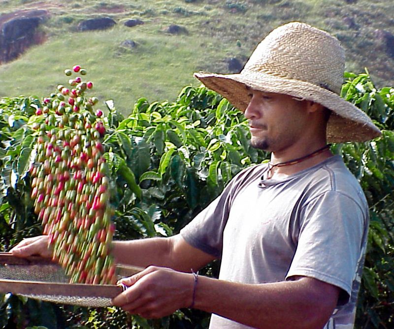 ethisch und nachhaltiger kaffee aus stuttgart